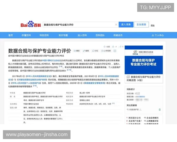 金沙国际登录线路的法律合规性分析,保障用户权益与平台合法运营 金沙国际登录线路的法律合规性分析,保障用户权益与平台合法运营