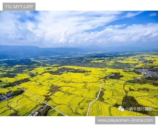 金沙体育平台最新优惠活动全面解析助你轻松赢取丰厚奖金