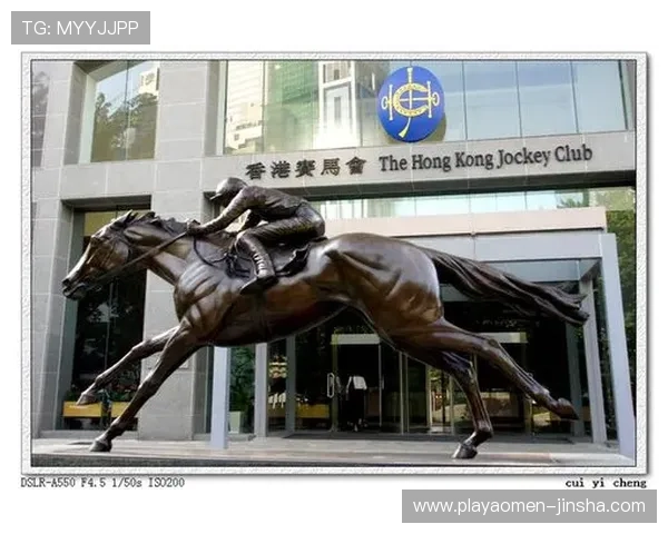 hkjc中文站：如何利用香港赛马会中文站提升投注效率与中奖概率