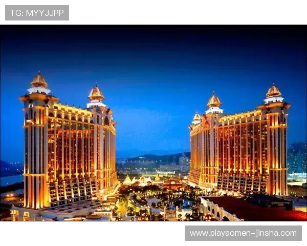 澳门六张赌牌持有者的投资布局与未来扩展计划分析